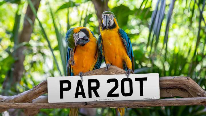 Photo of parrots holding the registration PAR 20T